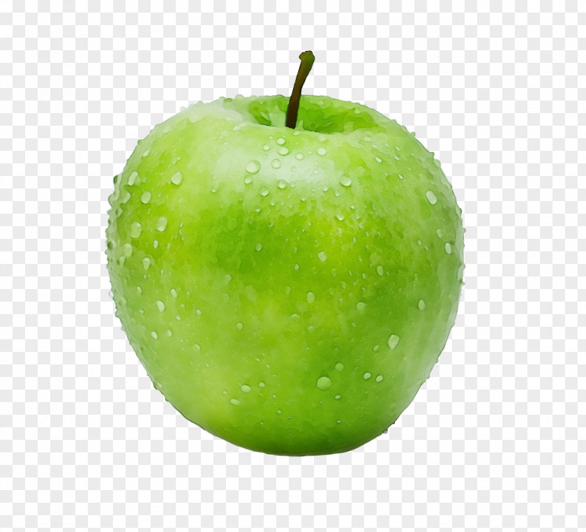 Accessory Fruit Pectin Granny Smith Green Apple Plant PNG