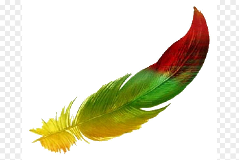 Feather The Floating Drawing Watercolor Painting Clip Art PNG