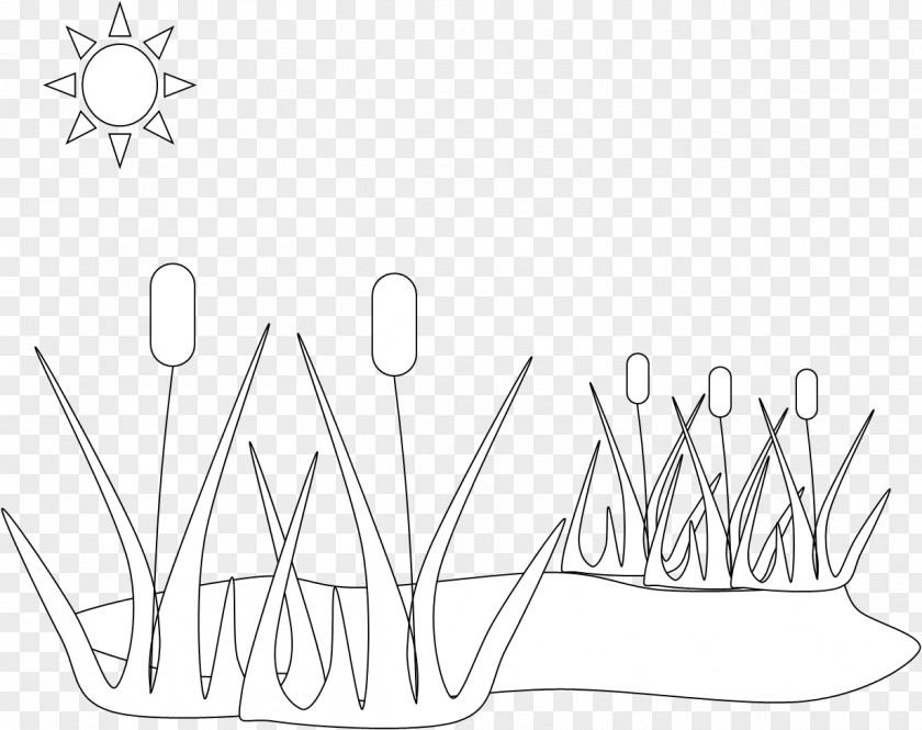 Ponds Cliparts Coloring Book Pond Ecosystem Rxe9sumxe9 PNG