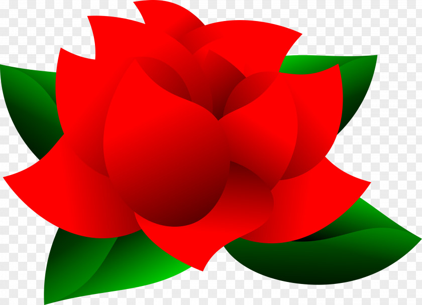 Red Flower Desktop Wallpaper Clip Art PNG