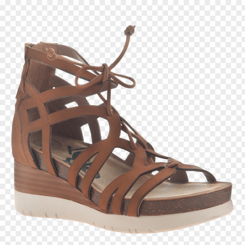 Sandal Platform Shoe Wedge Boot PNG