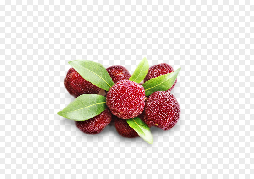 Strawberry Juice Morella Rubra Fruit PNG
