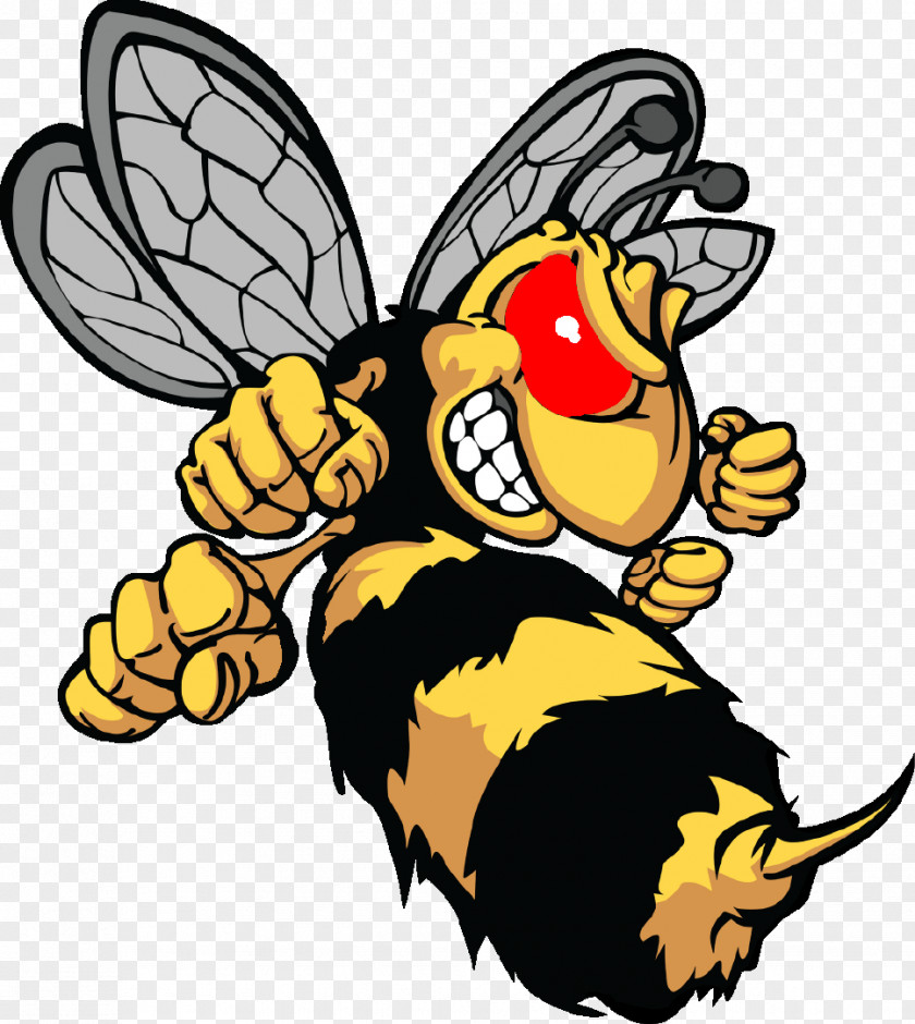 Bee Hornet Cartoon PNG