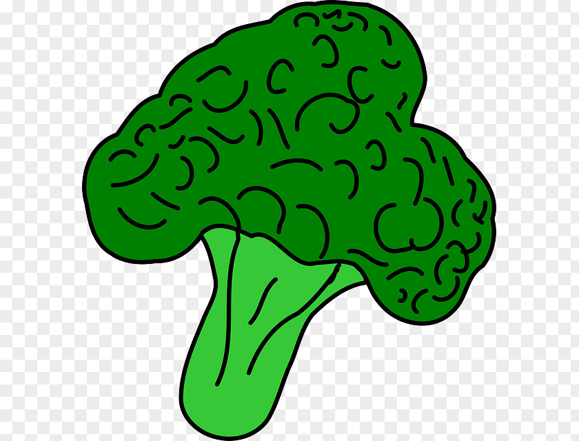 Cartoon Fresh Spring Grove Broccoli Vegetable Clip Art PNG