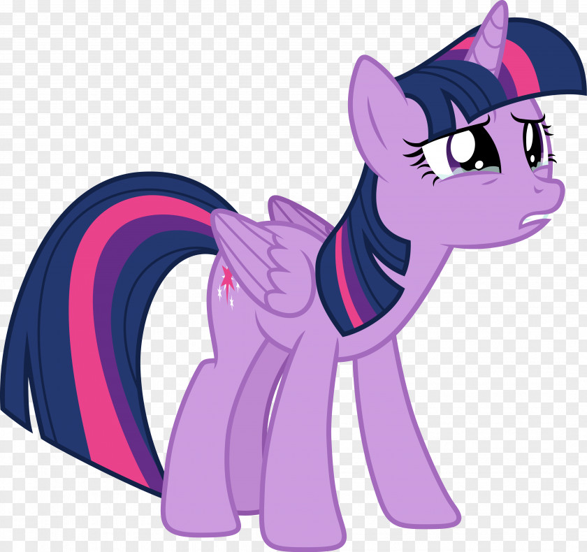 Twilight Sparkle Pony Applejack Rarity Rainbow Dash PNG