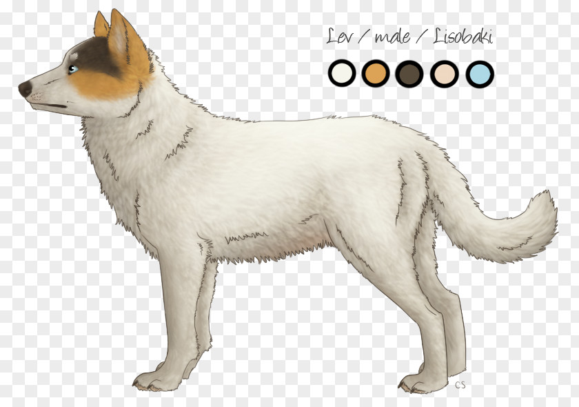 West Siberian Laika Saarloos Wolfdog White Shepherd Czechoslovakian Canaan Dog Norwegian Buhund PNG