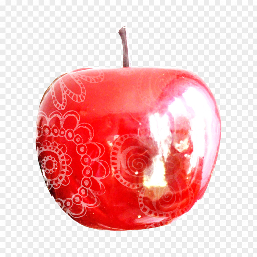 Apple Flower Computer File PNG