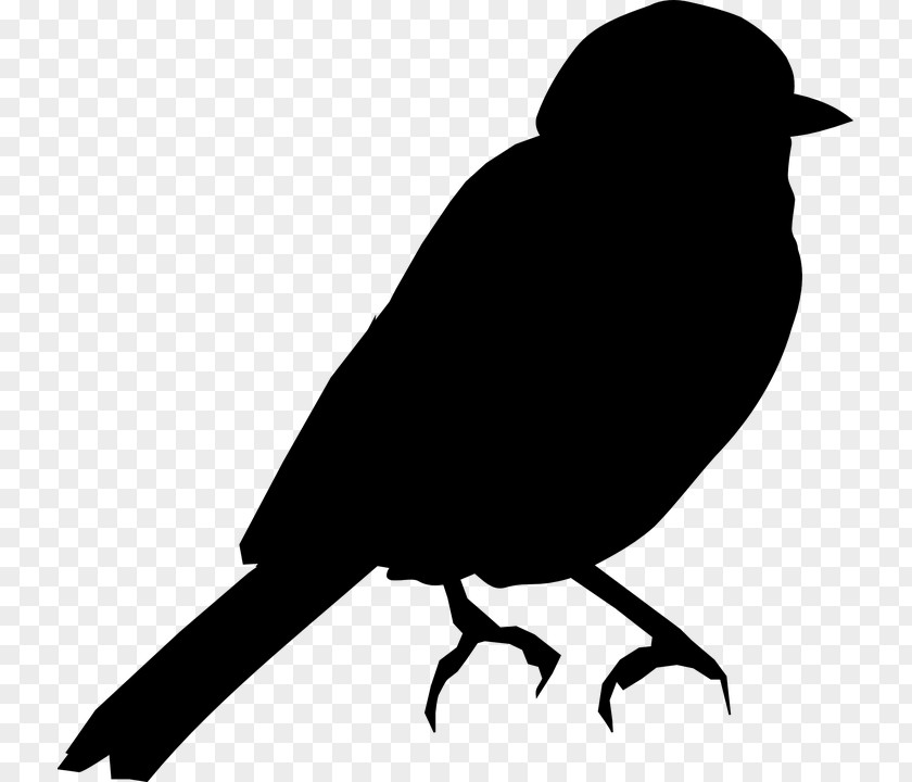 Bird Silhouette Clip Art Illustration Swallow PNG