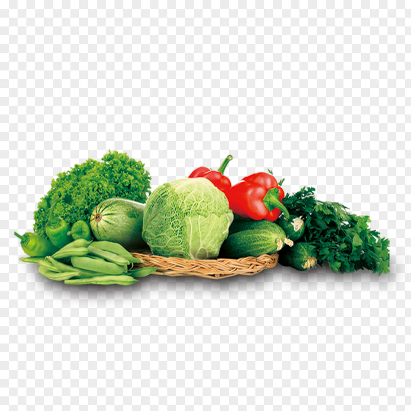 Green Vegetable Material Bell Pepper Leaf Cabbage Melon PNG