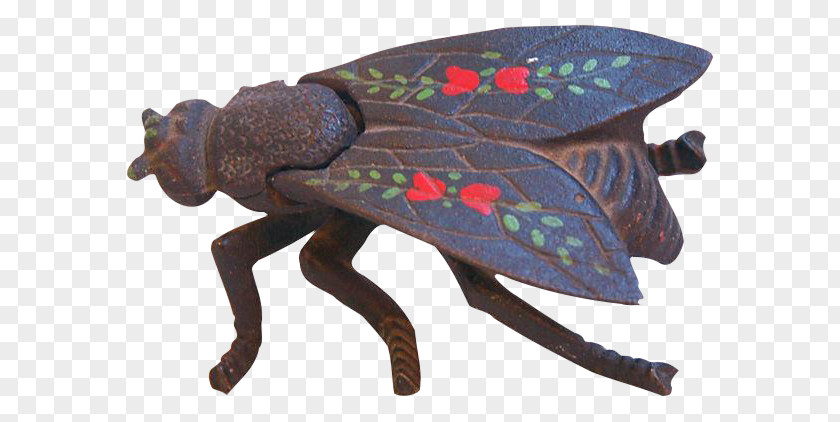 Insect True Bugs PNG