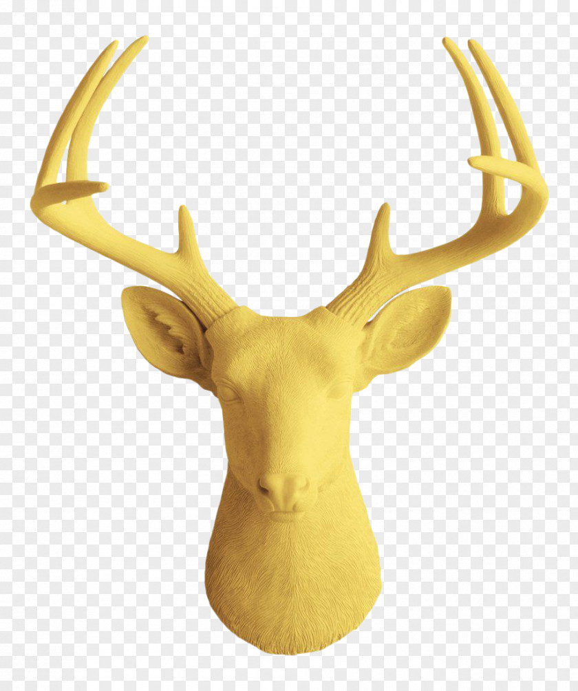 Large Deer Head White-tailed Wall Decal Decorative Arts PNG