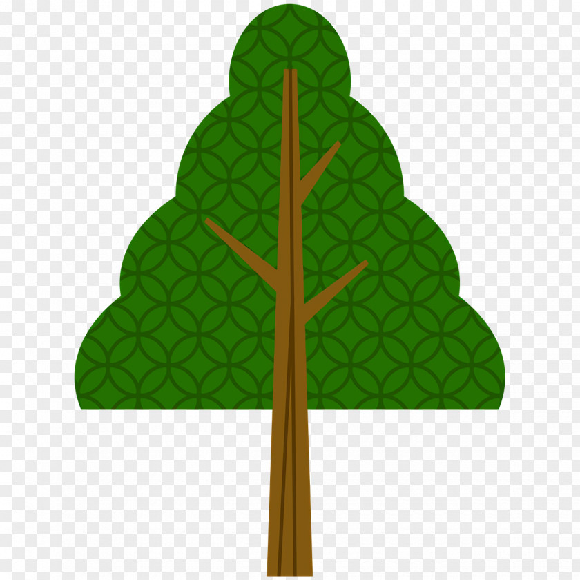 Leaf Tree Pinus Densiflora Conifers Christmas Pine PNG