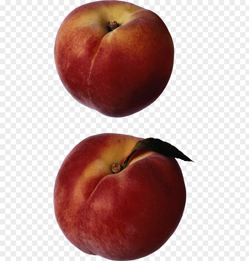 Peach Succulent Fruit Vegetarian Cuisine Apricot Nectarine PNG