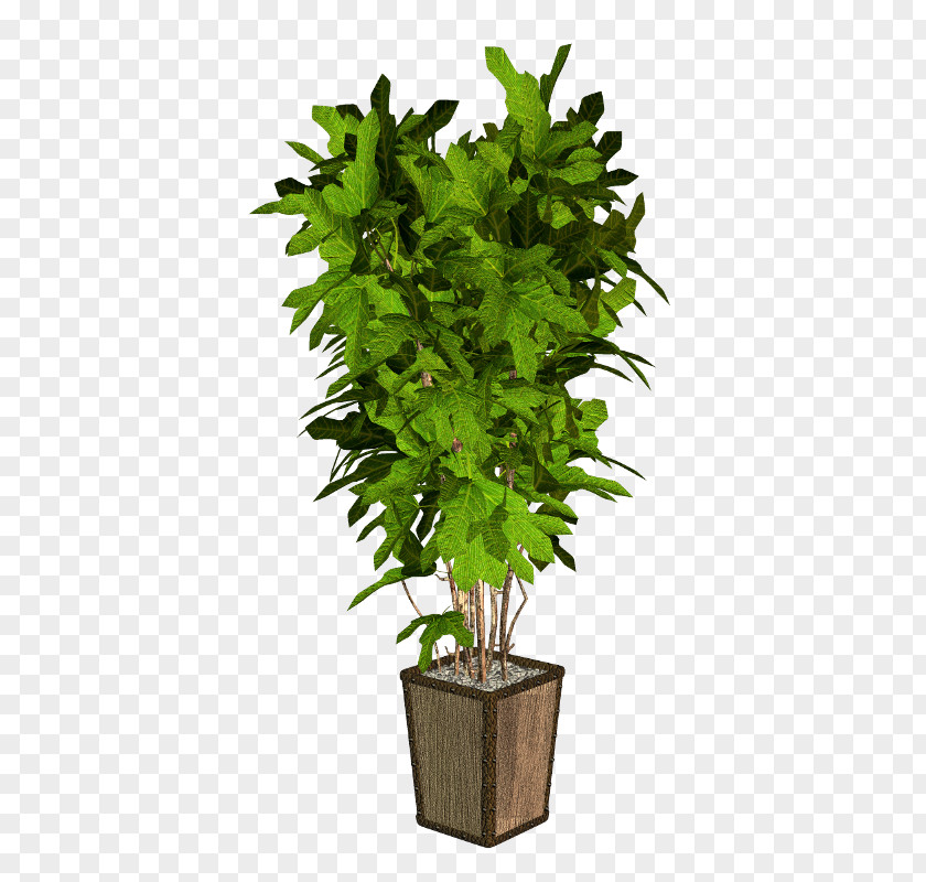 Plant Arecaceae Verdure Station PNG