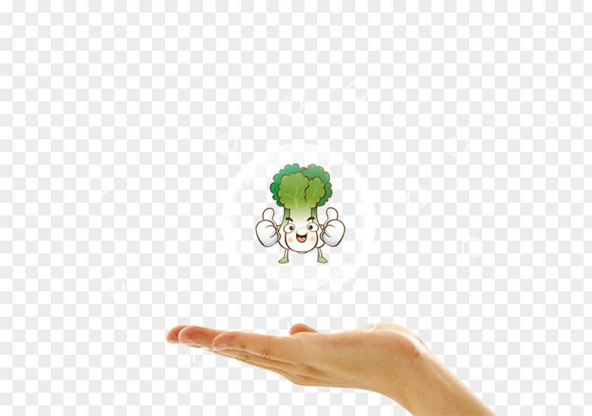 Satisfy Bubble Cabbage Hand Finger Arm Foot PNG