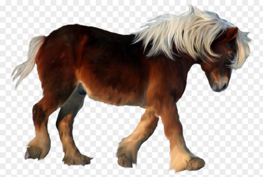Shetland Pony American Miniature Horse Twilight Sparkle Clip Art PNG