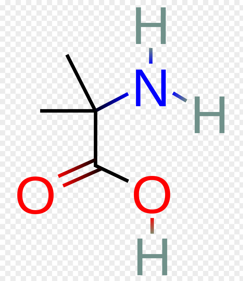Amino Acetic Acid Organic Chemistry Carbaryl Functional Group PNG