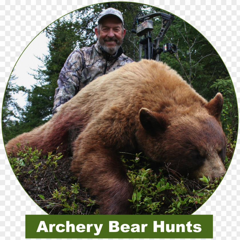 Bear Grizzly Hunting Outfitter PNG