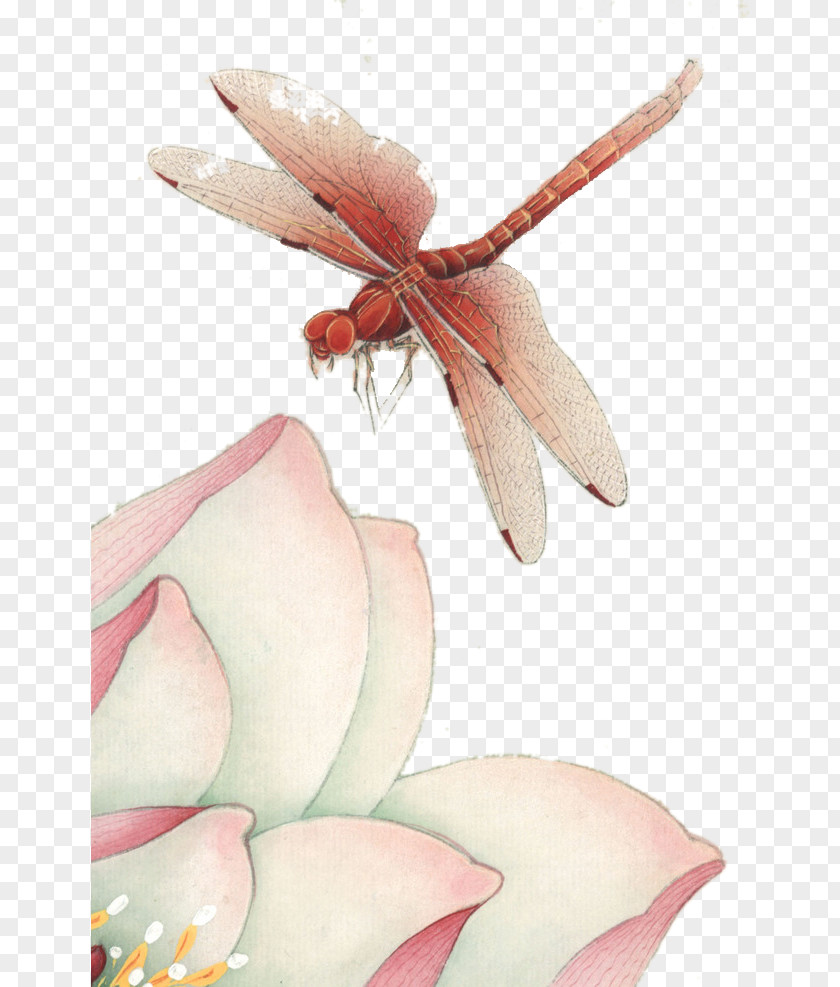 Hand-painted Lotus Dragonfly Nelumbo Nucifera Paper PNG