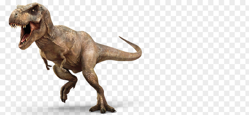 Jurassic Park Tyrannosaurus Velociraptor Park: The Game Triceratops PNG