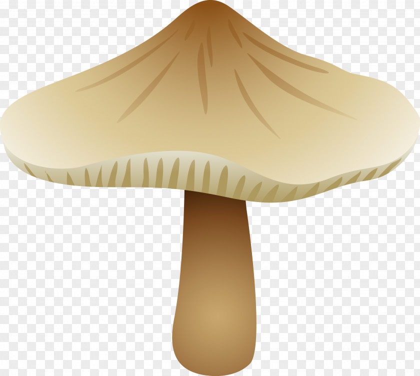 Mushrooms Fungus Edible Mushroom Boletus Edulis PNG