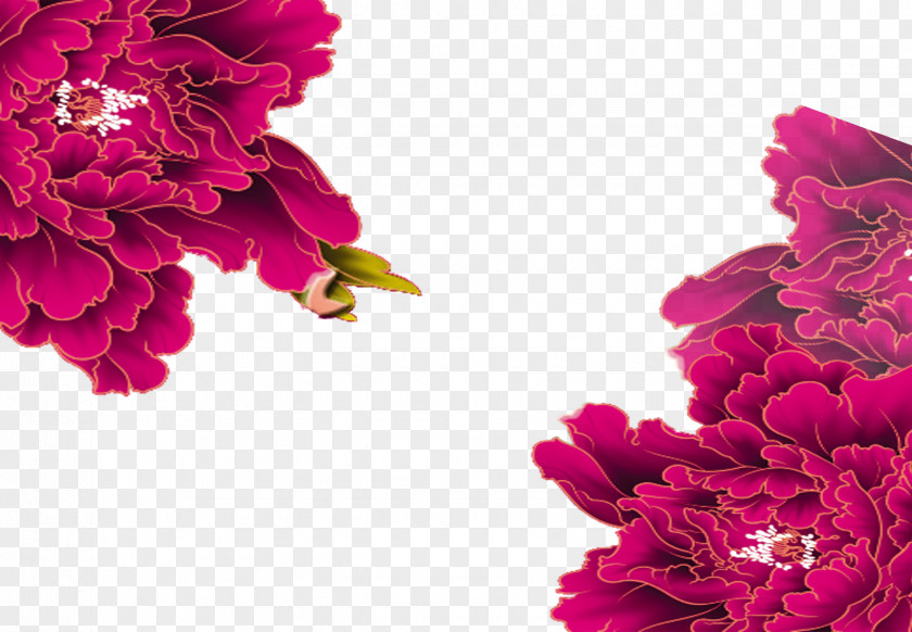 Purple Peony PNG