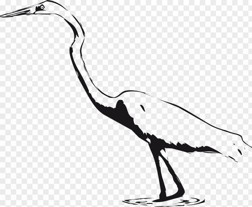 Black Marsh Cliparts Great Egret Bird Crane Clip Art PNG