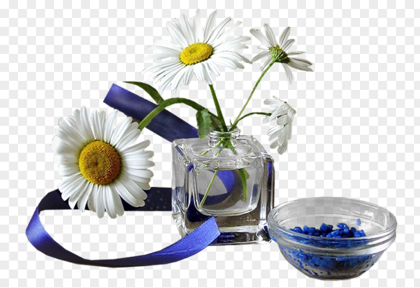 Chamomile Flower Coffee Vase 1080p PNG