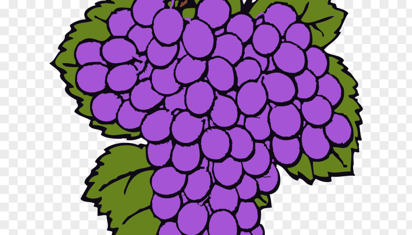 Manggis Cabernet Sauvignon Red Wine Grape Clip Art PNG
