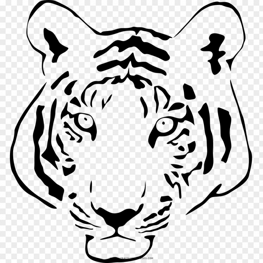 Tiger Whiskers Cat Black And White Clip Art PNG