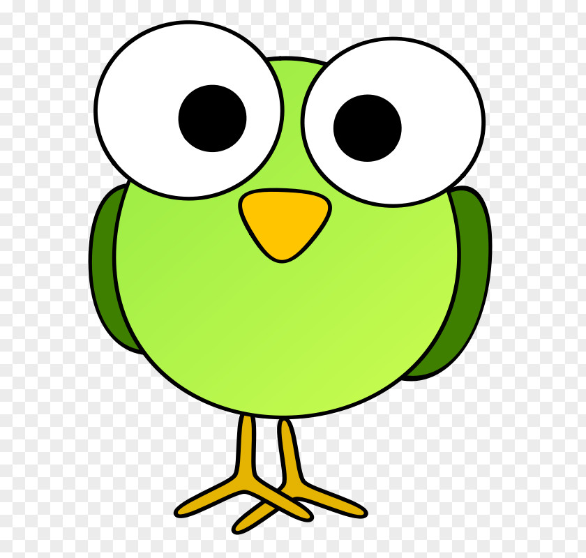 Cartoon Eye Images Bird Drawing Clip Art PNG