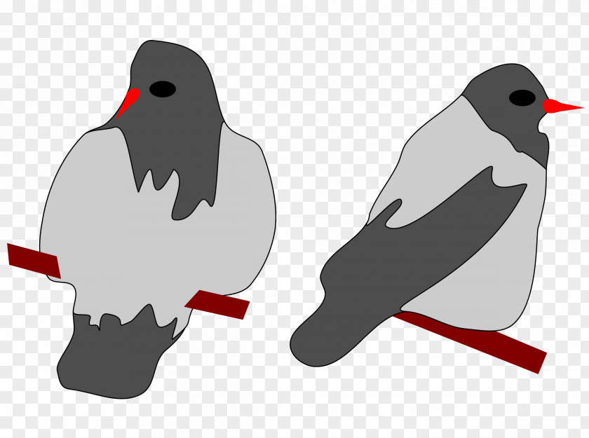 Crow Eurasian Magpie Clip Art PNG