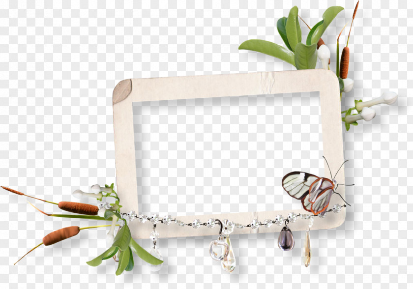 Design Floral Library Picture Frames PNG