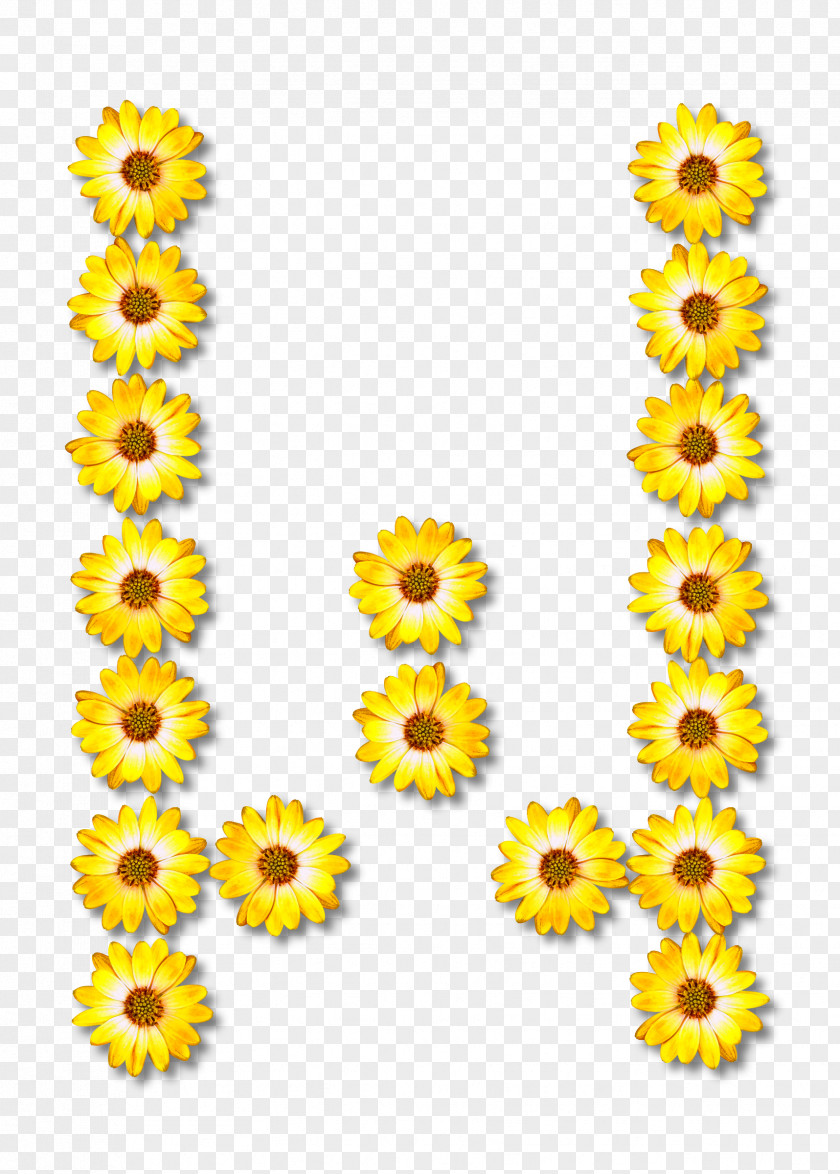 Flower Common Sunflower Alphabet Letter PNG