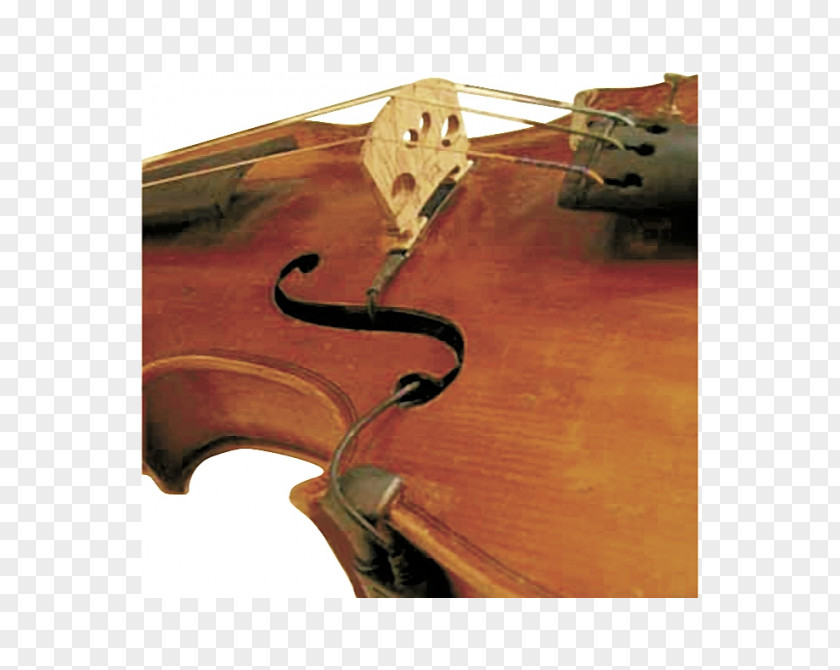 Microphone Bass Violin Violone Viola PNG