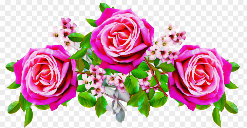 Rose PNG