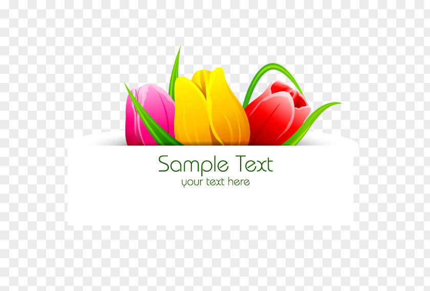 Tulip Border Flower Banner PNG