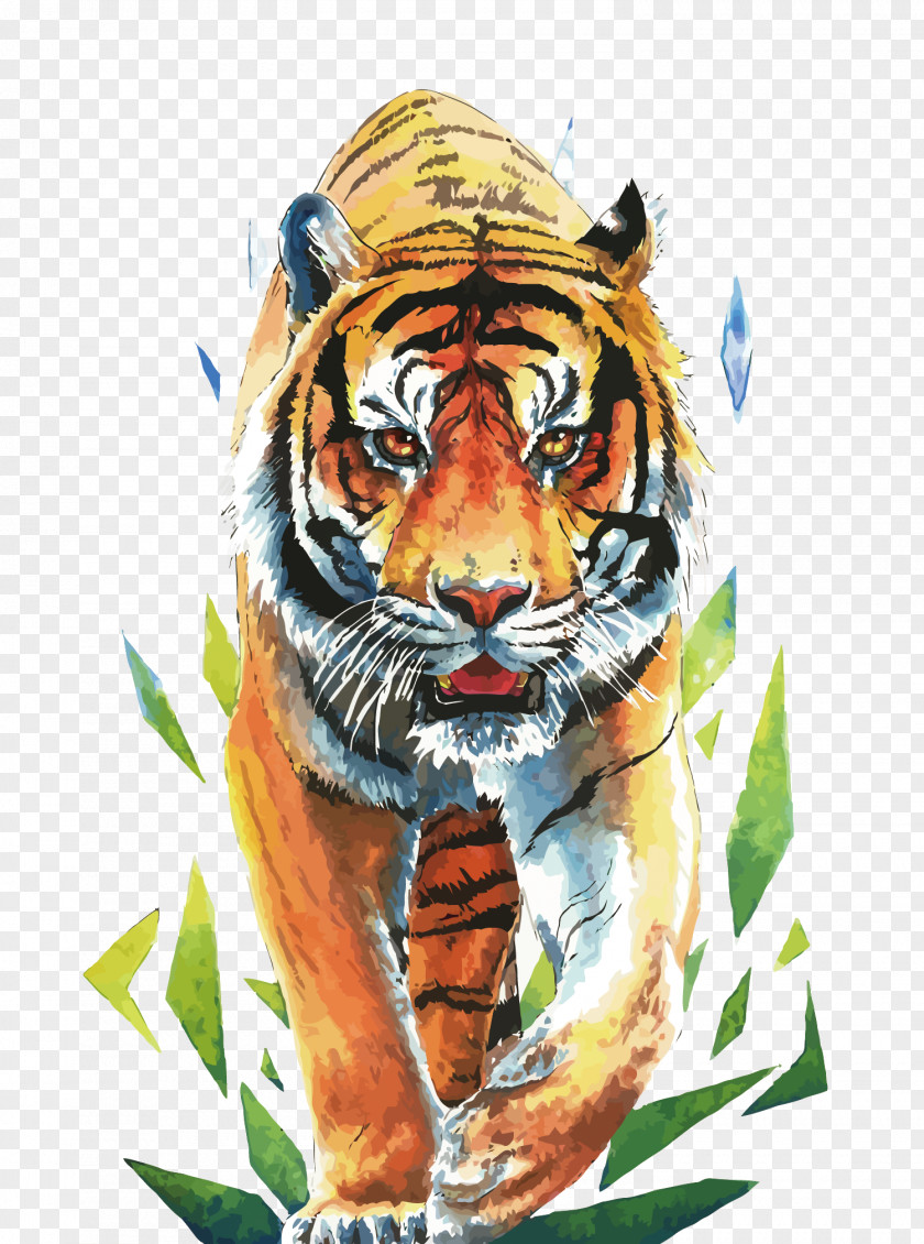Vector Grapes Tigers Siberian Tiger Drawing PNG
