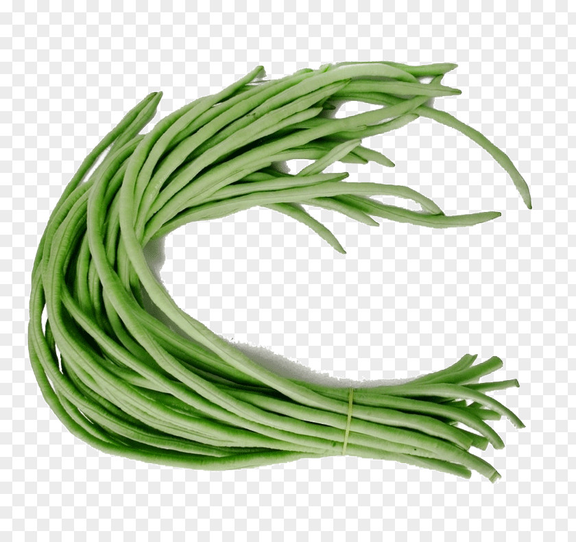 Vegetable Yardlong Bean Common Runner PNG