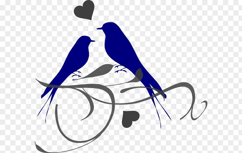 Bird Lovebird Clip Art Parrot Free Content PNG