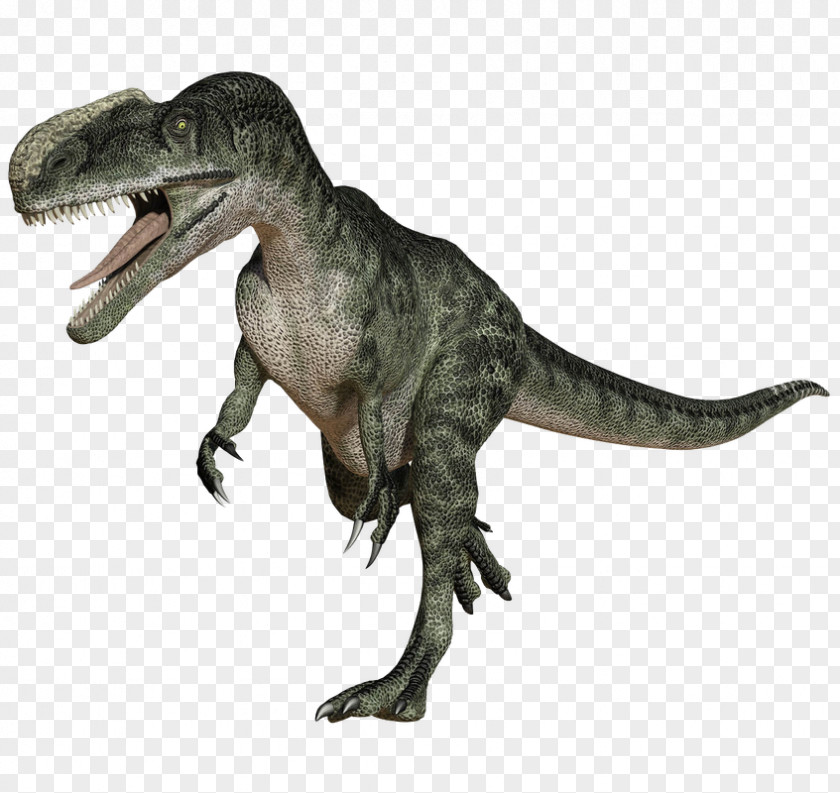 Brachiosaurus Tyrannosaurus Dinosaur Animal Child Song PNG
