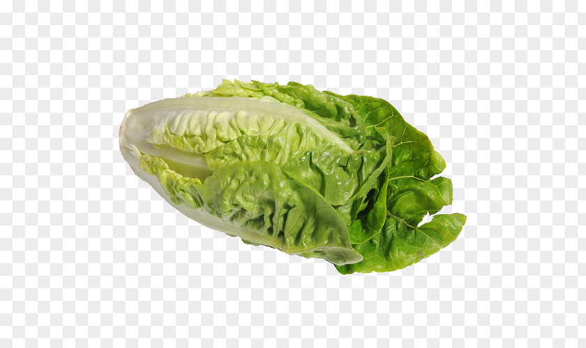 Cabbage Romaine Lettuce Red Leaf Vegetarian Cuisine Wrap Food PNG