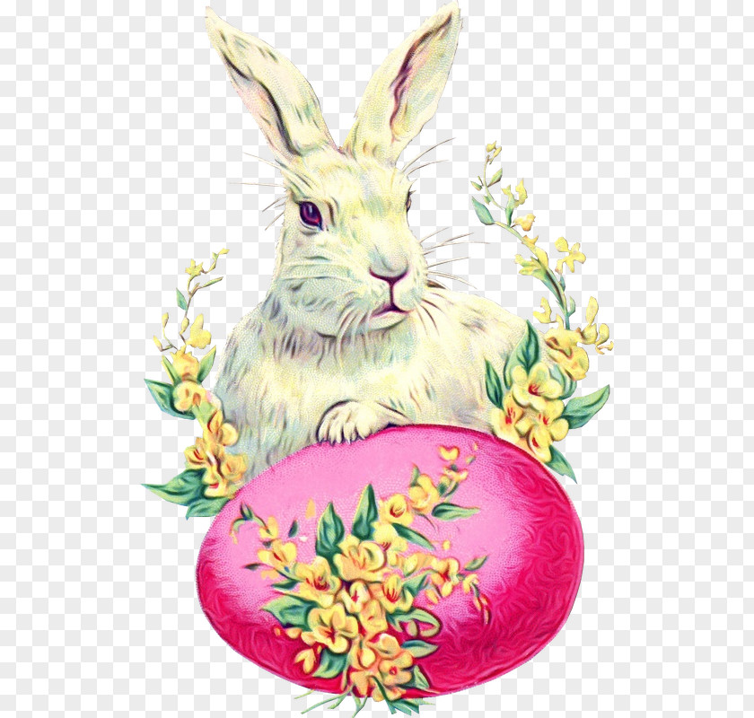 Easter Egg PNG