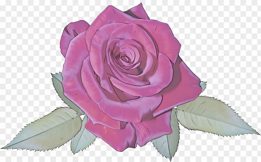 Garden Roses PNG