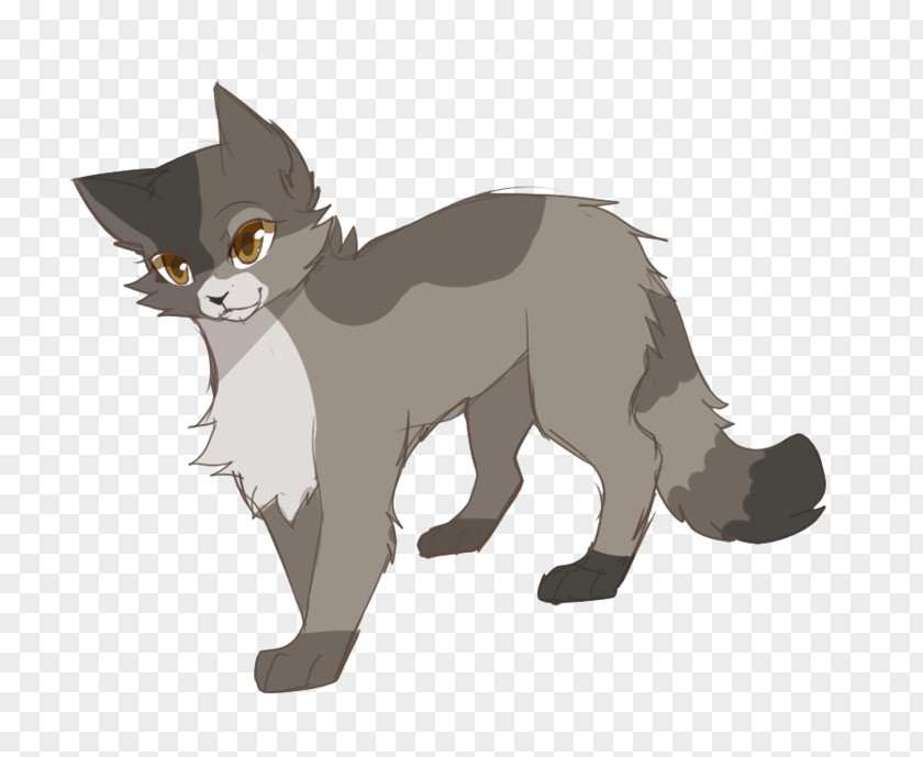 Kitten Whiskers Red Fox Cat Dog PNG