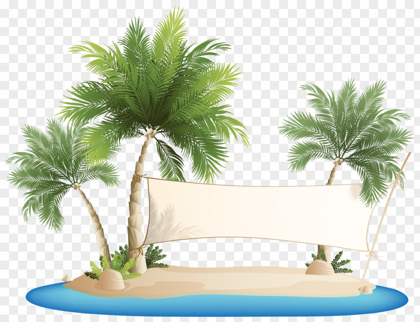 Pull The Banner Of Coconut Tree Vector Palm Islands Beach Clip Art PNG