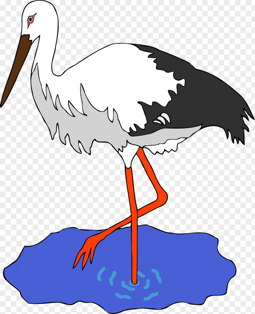 Stork Bird White Clip Art PNG