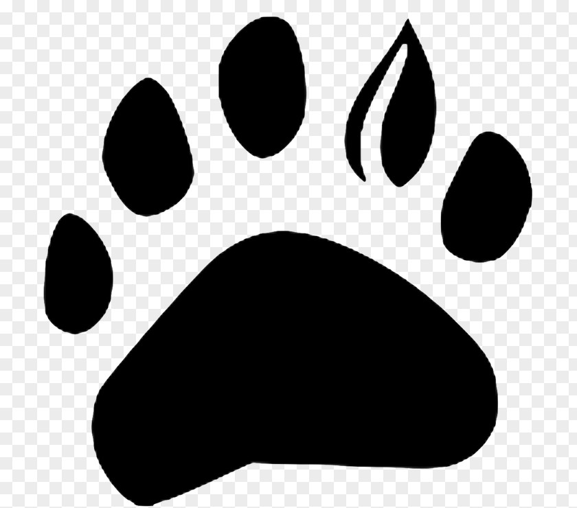 Bear Claw Paw Line White Snout Clip Art PNG