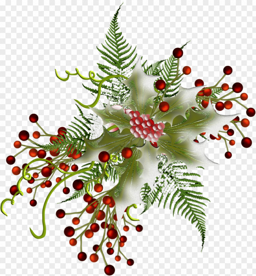 Christmas Fir Ornament Pine Fruit PNG