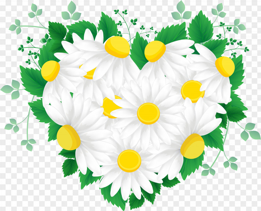 Flower Cut Flowers Green PNG